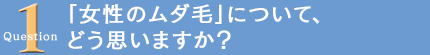 粗びき豆さん　質問１